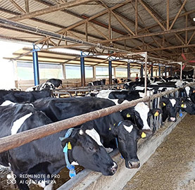 εσωτερικοί χώροι