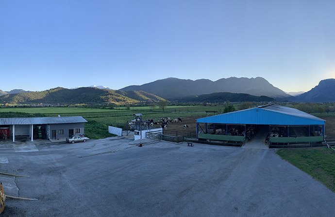 φάρμα Καλέτση